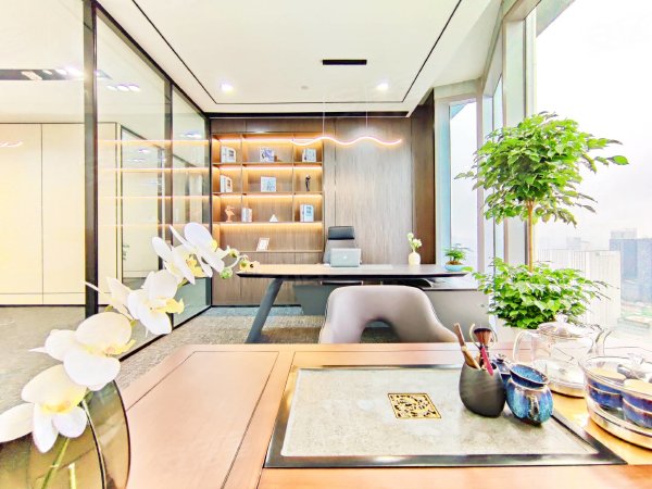 锦江区超甲新华文轩正对电梯大气老总室11办公室30卡座拎包